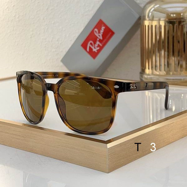 RayBan Sunglasses ID:20240804-320